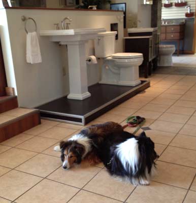 Cooper and Kenzie in plumbing store