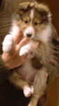 Our First pix of cooper