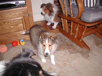 cooper_inside_3mos.02