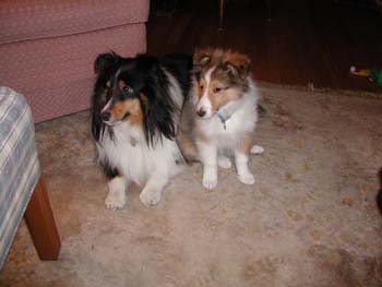 cooper_inside_3mos.03