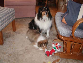 cooper_inside_3mos.26