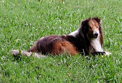 A visit to Manchester