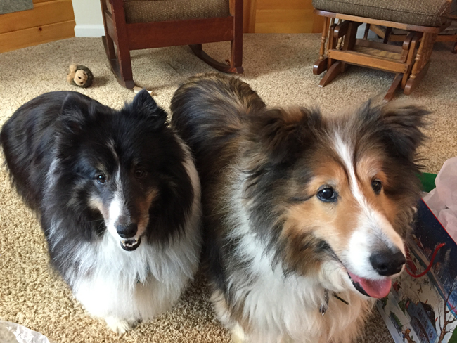 I Know There's Stuff for Me