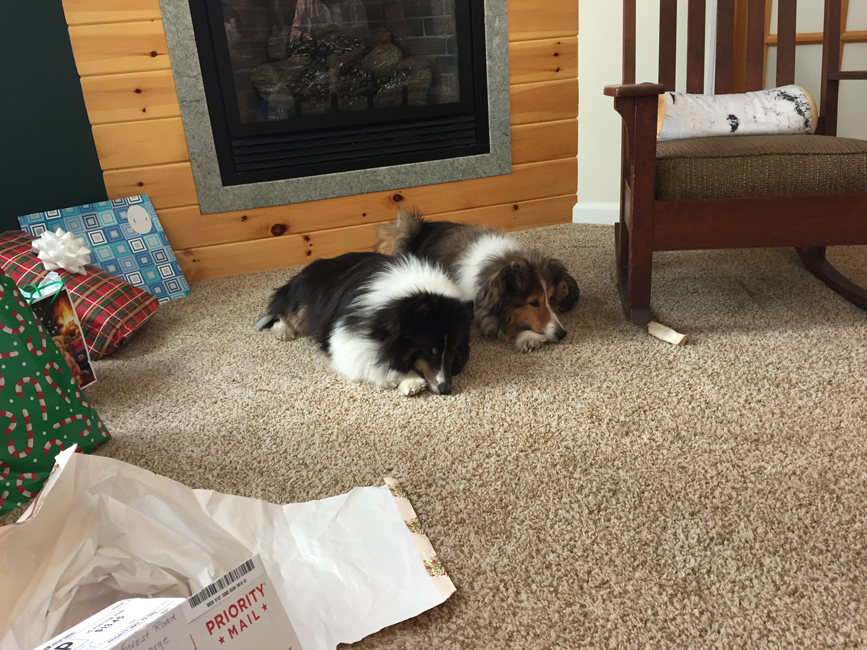 Man, this Holiday Stuff is Exhausting