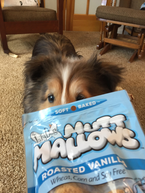 See I Can Reach Right In