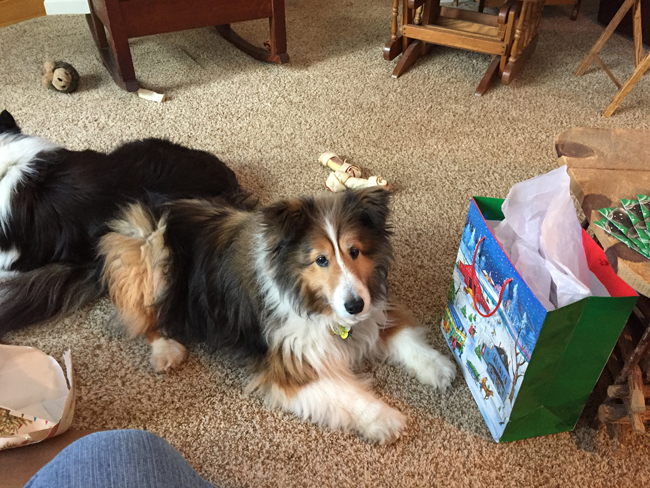 Might be in this Bag