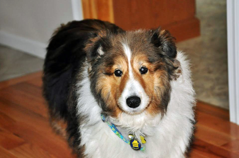 Yes, I am Handsome