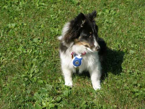 Kenzie the photographer