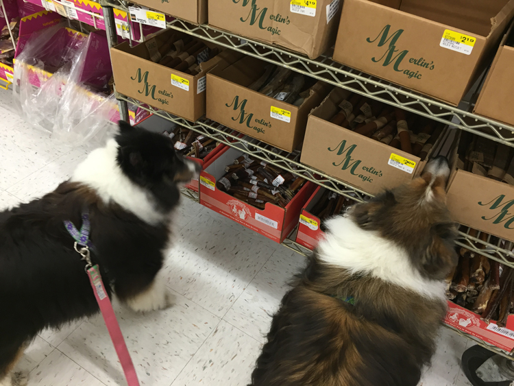 So Many Choices