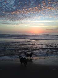 beautiful dawn