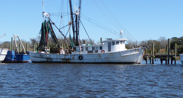 Shrimper