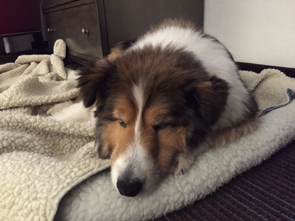 Oh, All that Sightseeing!