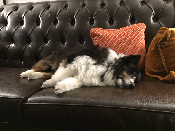 Travel is Exhausting