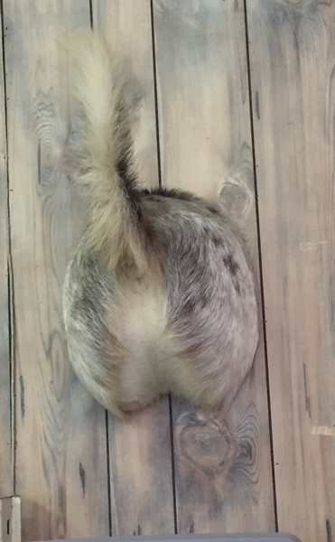 Butt...