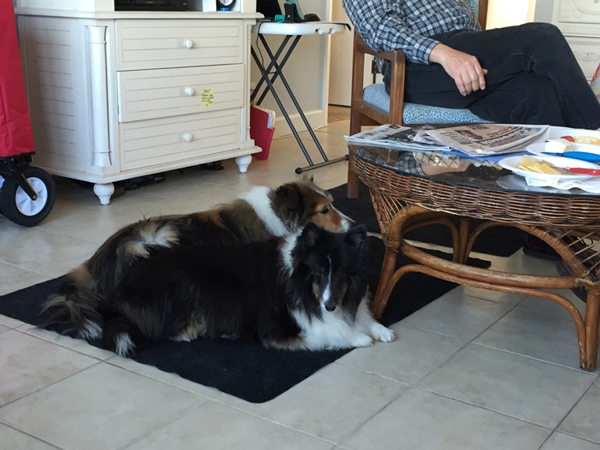 Waiting for Something to Fall Off the Table