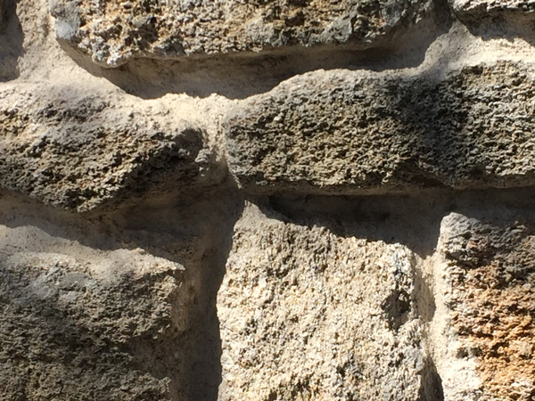 Coquina--&quot;Bricks&quot; Made from Pressed Sea Shells in St. Augustine